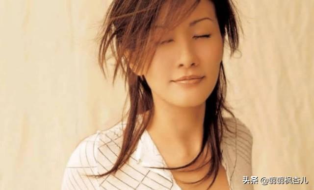 胡杏兒最新電視劇，時代之光下的璀璨篇章