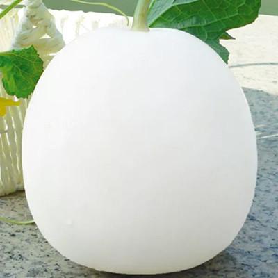 最新甜瓜價格探秘，甜瓜之旅的心靈之旅尋找內心平靜之旅