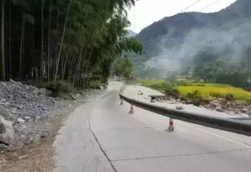 溫州最新臺風動態，逆風挑戰，自我成長