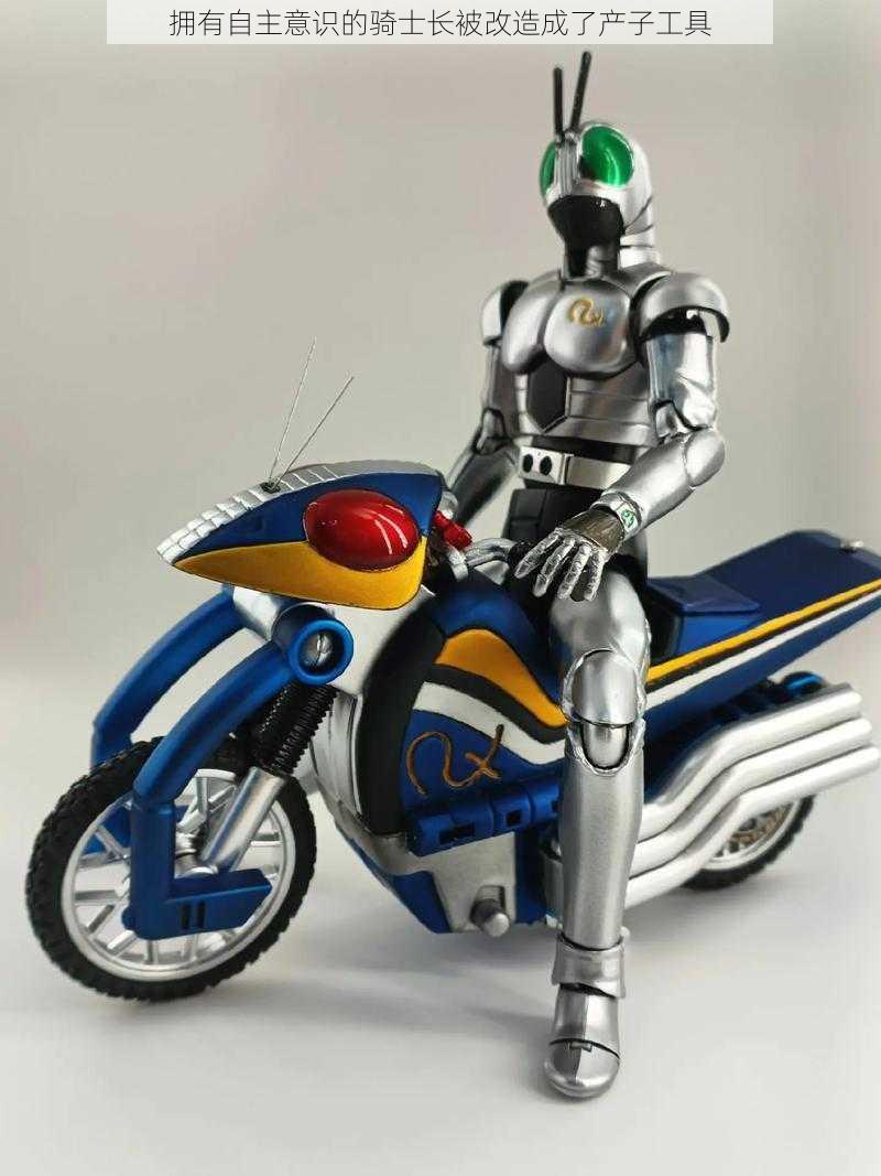 騎士網呆子最新測評,全面解讀與觀點闡述深度剖析