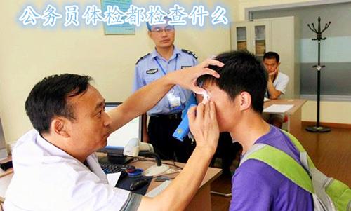 最新公務員體檢表，變化之路，自信與成就感的旅程