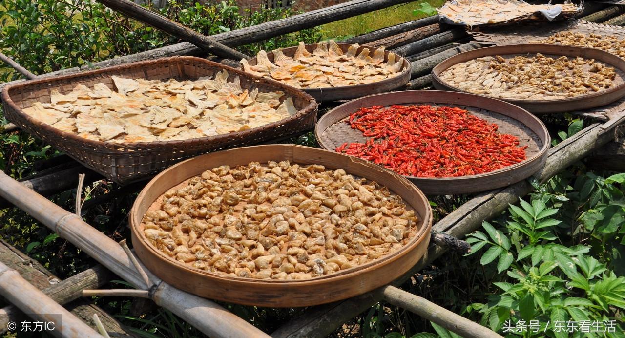 江西玉米價格最新行情，與自然美景的旅行對話之旅