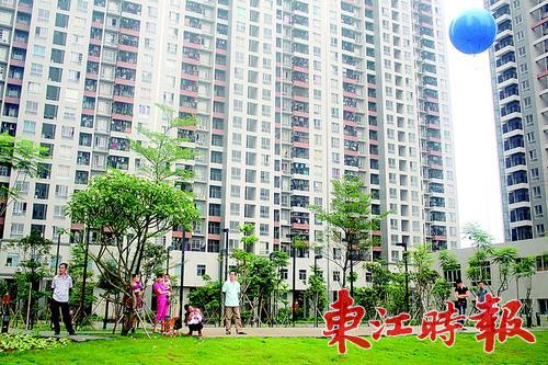 湛江公租房最新動態更新，最新消息匯總