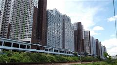 天津市公租房最新動態更新,最新消息全面解析