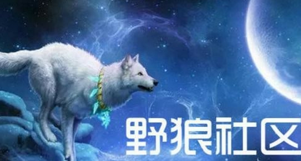 野狼社區最新動態，學習變化，自信塑造未來