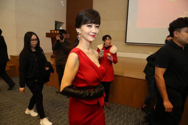 趙雅芝最新活動,時代印記下的永恒魅力