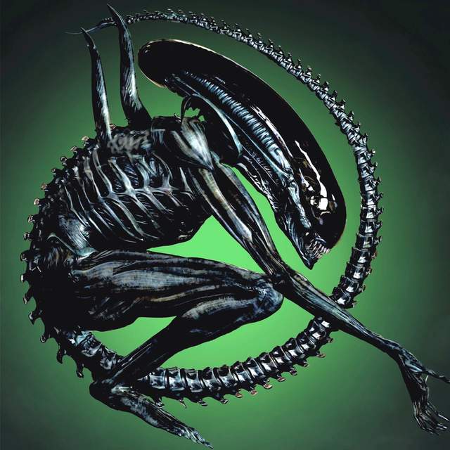 最新異形任務攻略，詳細步驟指南助你輕松完成任務或學習技能