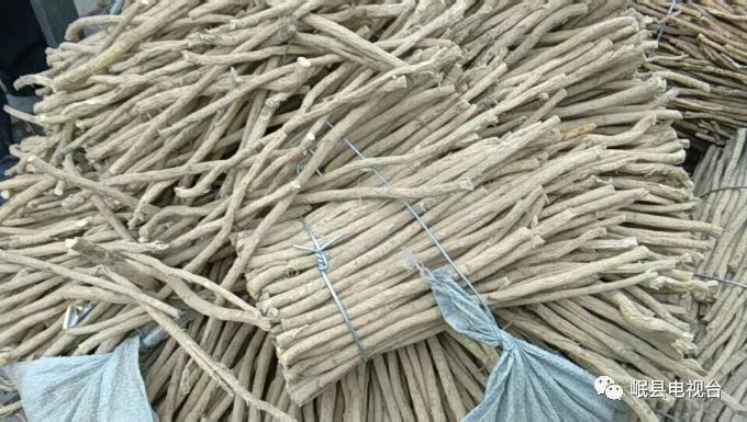 最新當歸價格揭秘與行情分析??