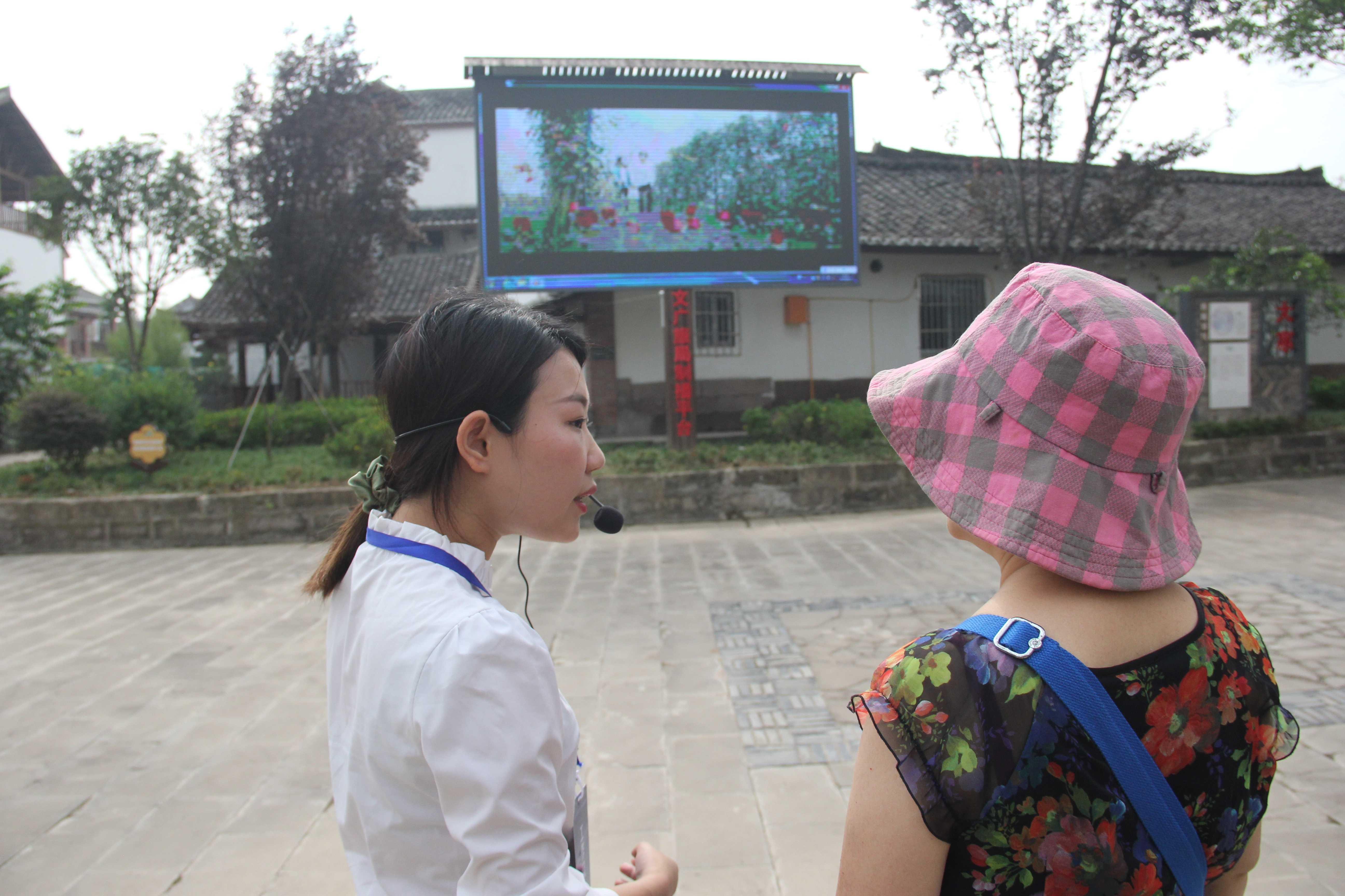 清溪人才市場最新招聘，時代脈搏與人才交響的交匯點