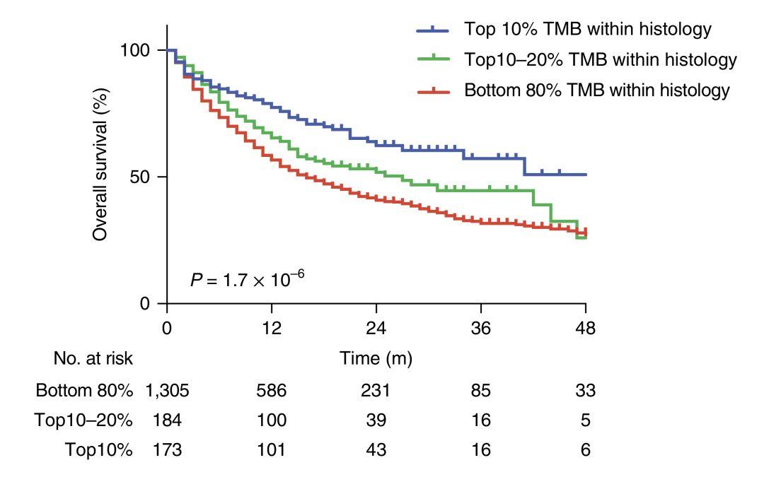 免疫治療最新重大突破,步驟指南與突破詳解