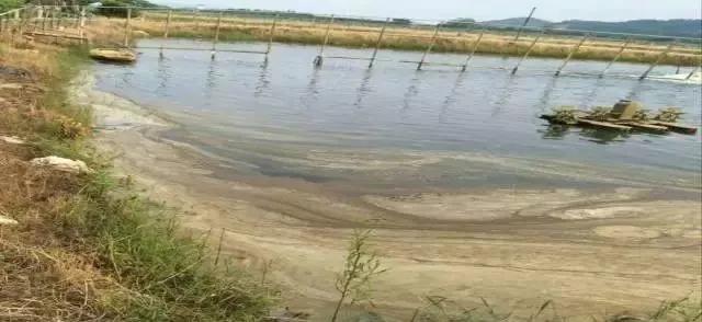 探索自然美景的奇妙之旅，最新泡沫廠技術員招募啟航！