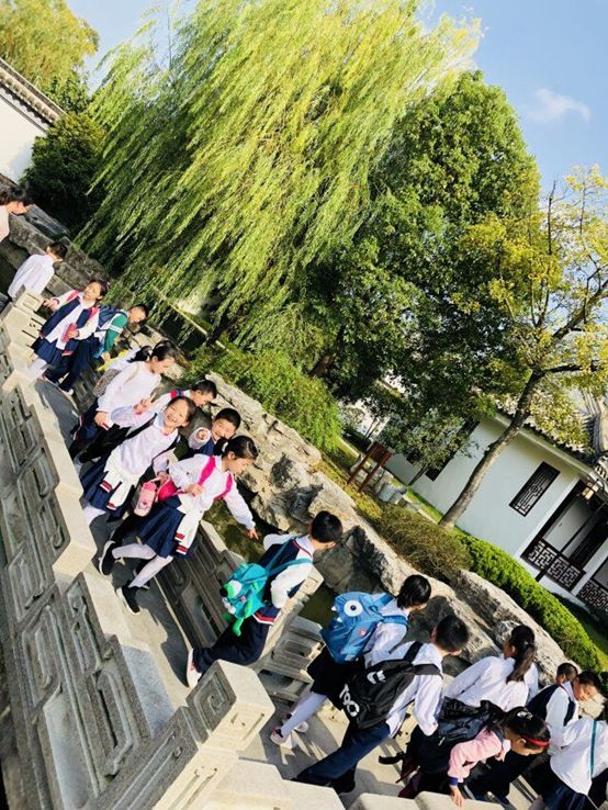 南山湖一號最新動態(tài)揭秘，溫馨日常的點滴生活