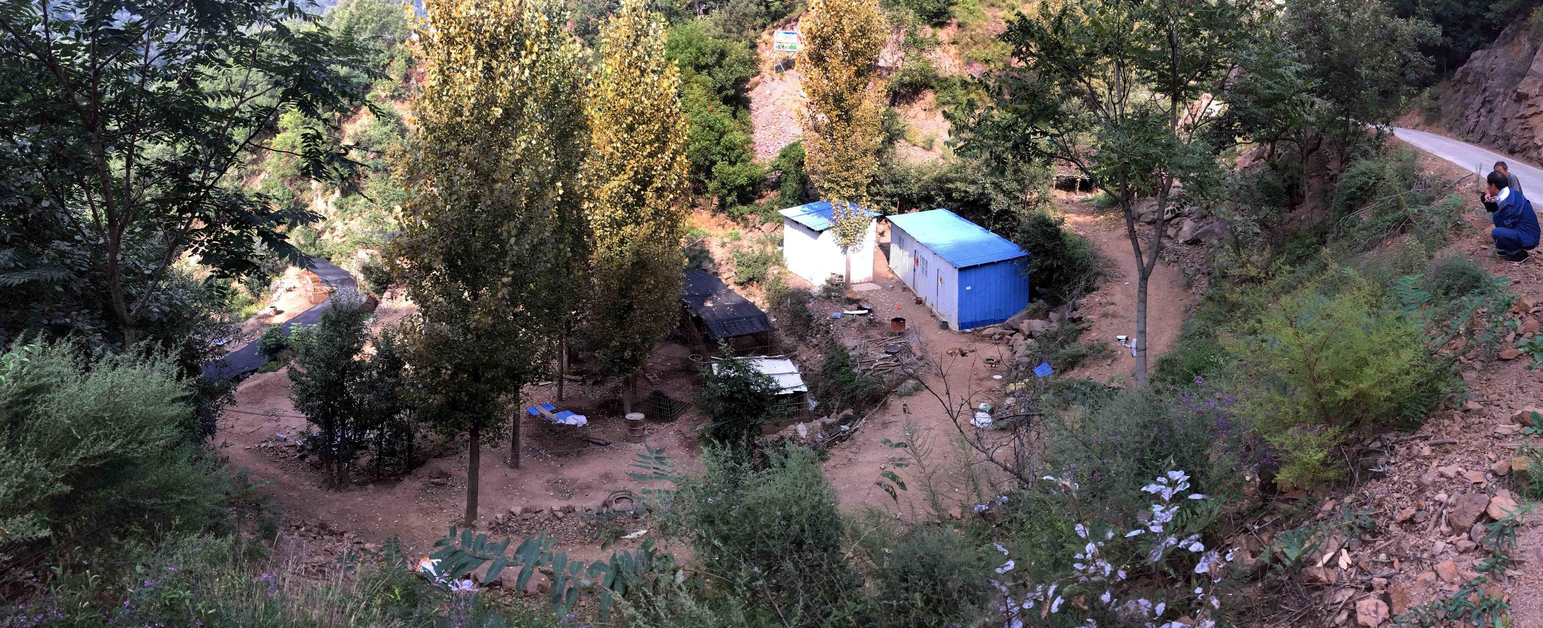 洛陽公租房最新動態，一種觀點下的影響分析