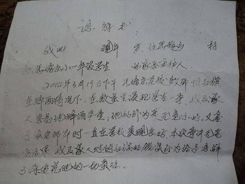 交通事故諒解書最新探索與小巷深處的特色小店探秘