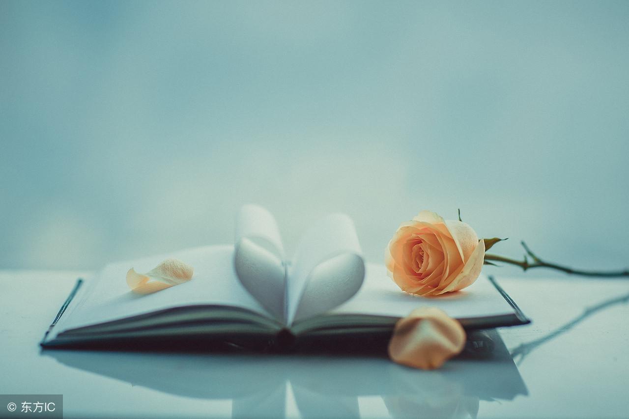 執愛成灰最新更新，學習變化帶來的自信與成就感提升之路