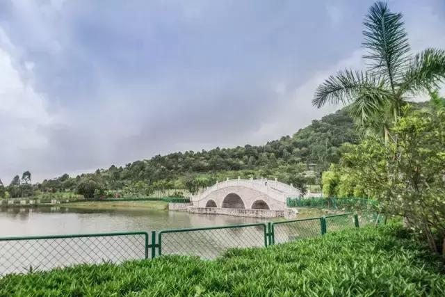 涪陵龍海石化最新動態與石化旁的小趣事及深厚友情分享