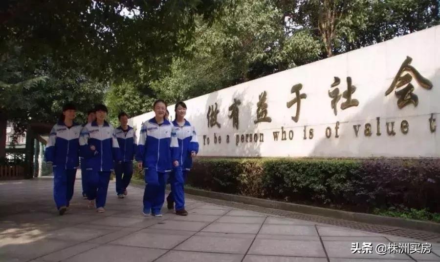 株洲學(xué)區(qū)房最新消息一網(wǎng)打盡，熱門學(xué)區(qū)房動(dòng)態(tài)全面解析！