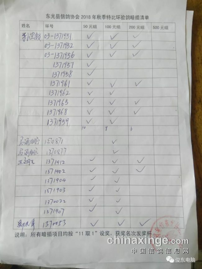 東光天宇鴿舍最新發(fā)布及任務(wù)參與指南，學(xué)習(xí)如何完成任務(wù)攻略