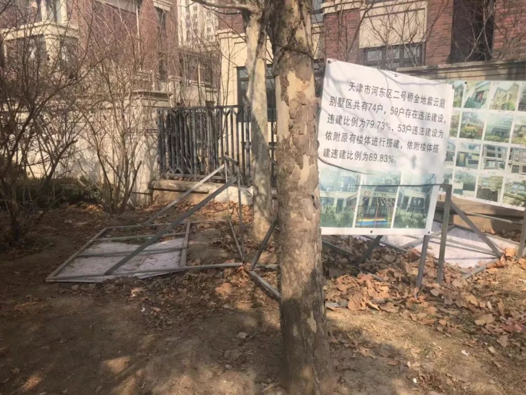 天津違建拆除最新進展報告