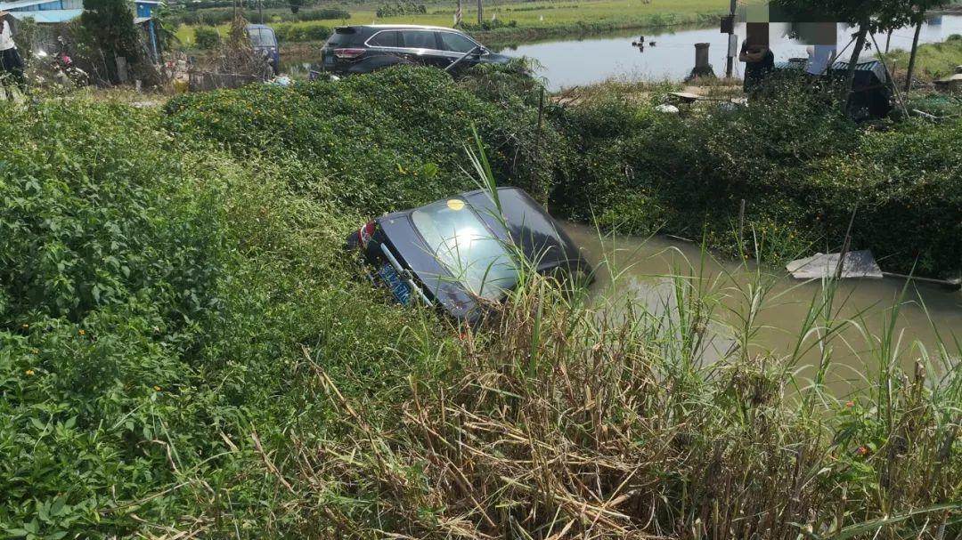 中山三鄉司機招聘,日常奇遇與友情紐帶的探索