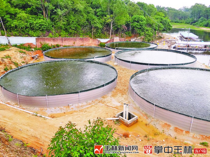 最新式高位池排污技術揭秘，綠色環保新選擇！