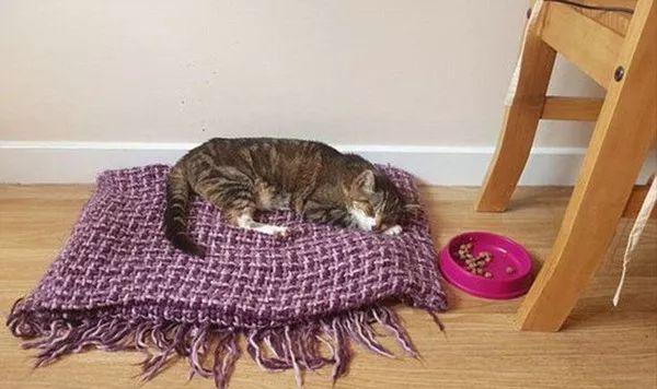 我愛我買最新動態(tài)更新