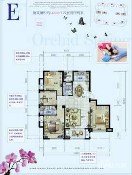 路橋蘭韻春天房價走勢深度解析與購房者個人立場探討