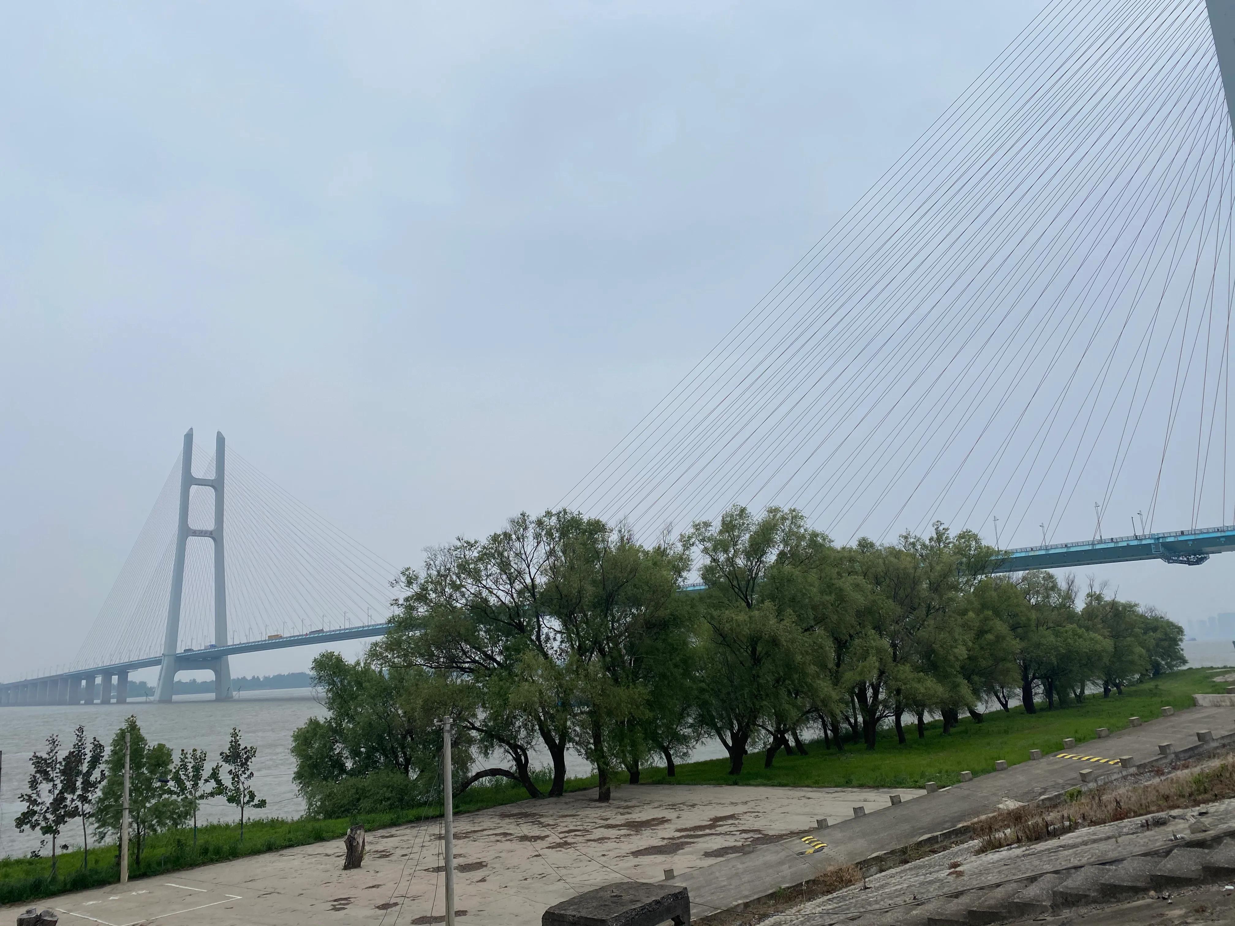 長江碼頭治理最新動態更新，關注治理進展，掌握最新消息