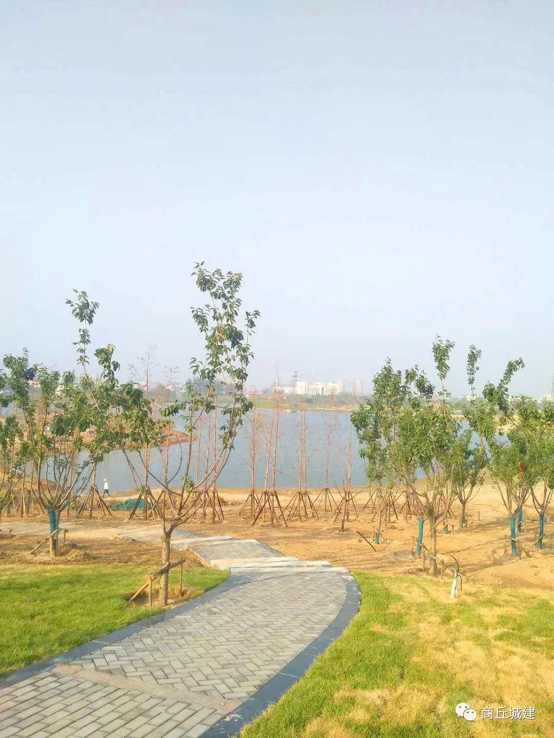 商丘商都公園最新動態，自然探索之旅，尋覓內心平和寧靜的綠洲