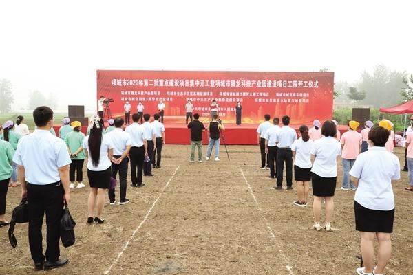 項城億嘉最新動態(tài)，日常趣事與深厚友情一覽無余