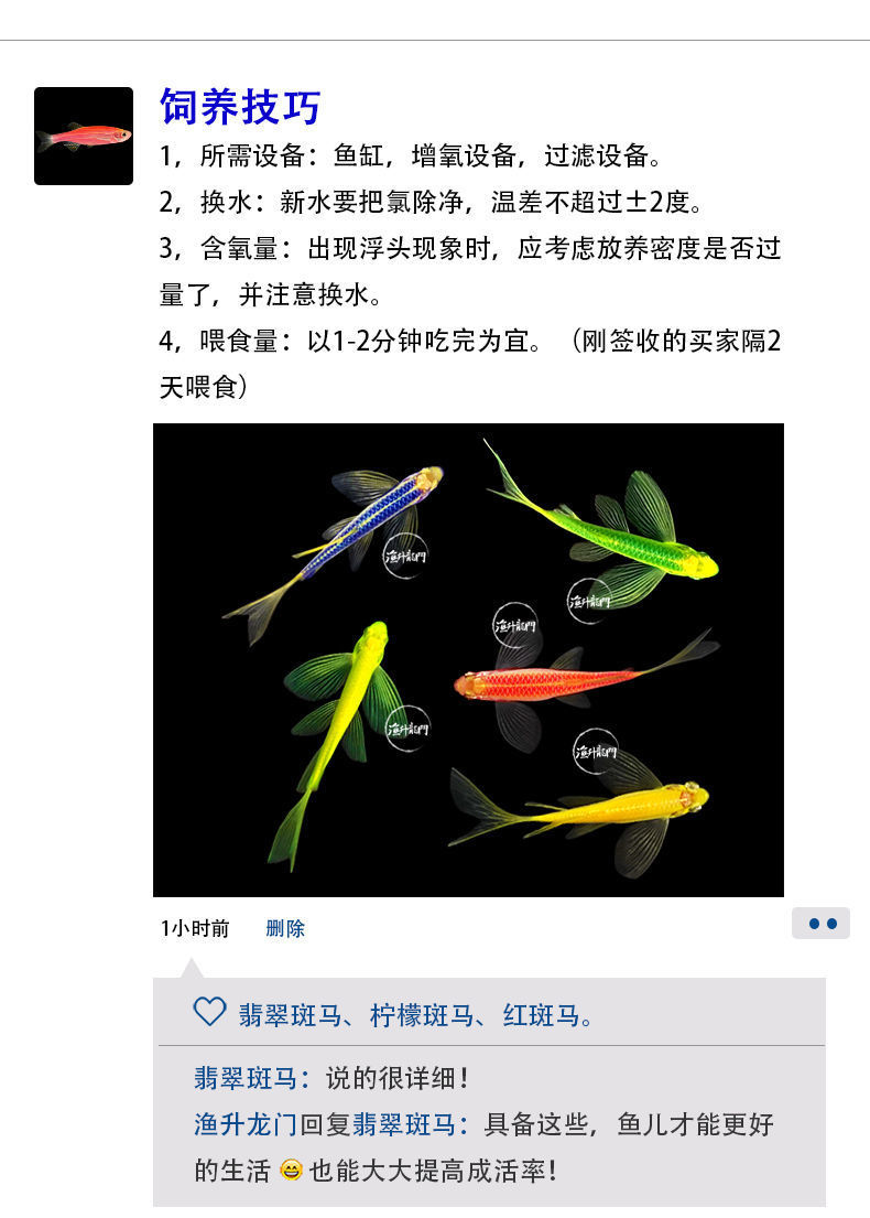 養(yǎng)畫眉鳥最新養(yǎng)殖技術揭秘，日常趣事與養(yǎng)殖技巧分享