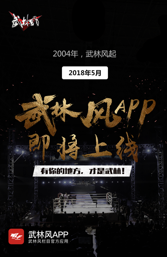 武林風控股最新動態，小巷探秘獨特風味揭秘