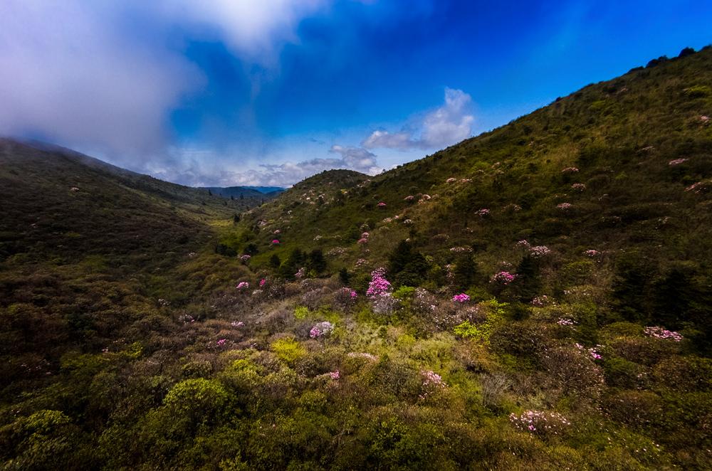 株洲科目三最新地圖詳解與論述