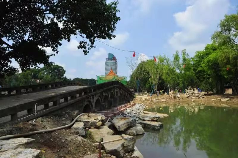 濟南北湖公園最新動態(tài)揭秘，湖畔溫馨日常新篇章開啟