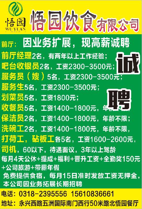衡水趙圈最新招工信息詳解與觀點論述