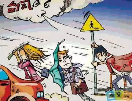 臺風苗柏最新動態，探索自然美景的輕松旅行之旅