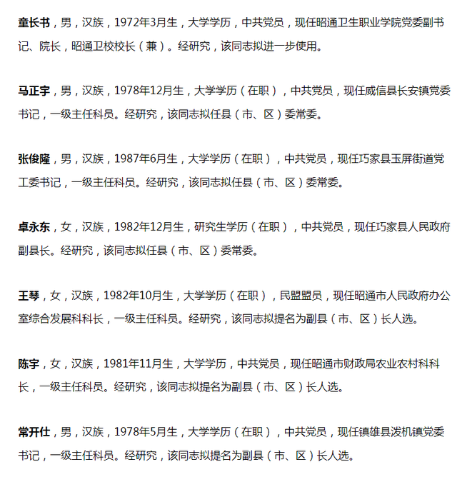 關于昭通市委最新任免的探討與觀點分析，2025年最新任免動態揭秘