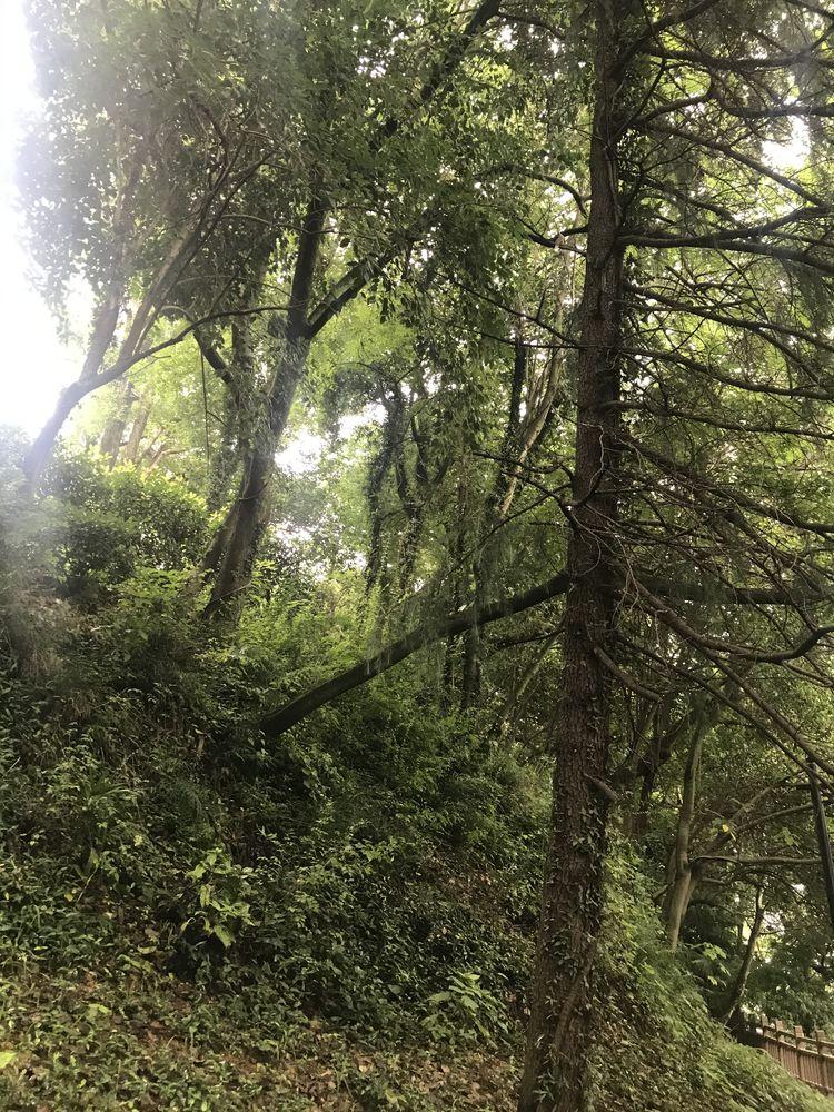 杭州瓶窯最新發展，一段溫馨的日常故事開啟新征程