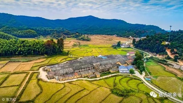 珠海代耕農最新動態更新 ????（最新消息）