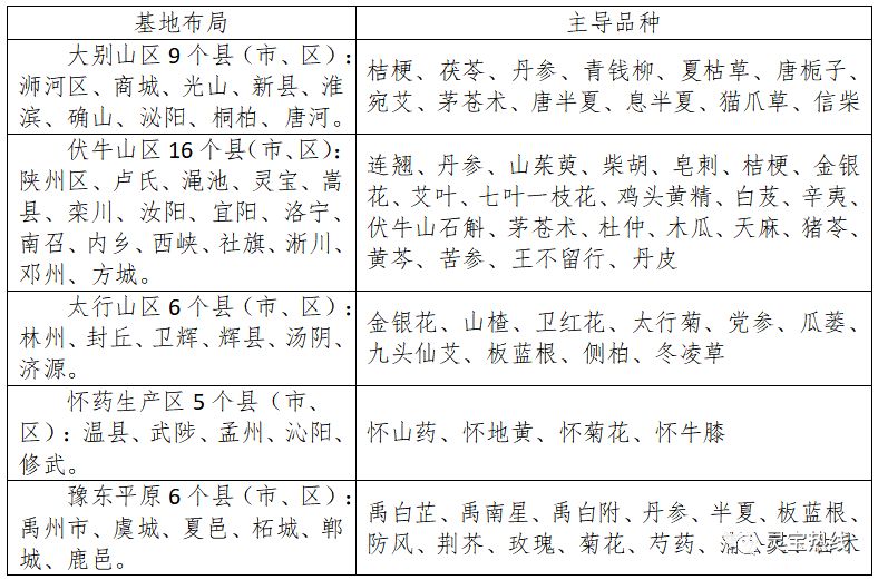 最新靈寶市領(lǐng)導(dǎo)分工表公布，觀點(diǎn)論述與分工細(xì)節(jié)全解析