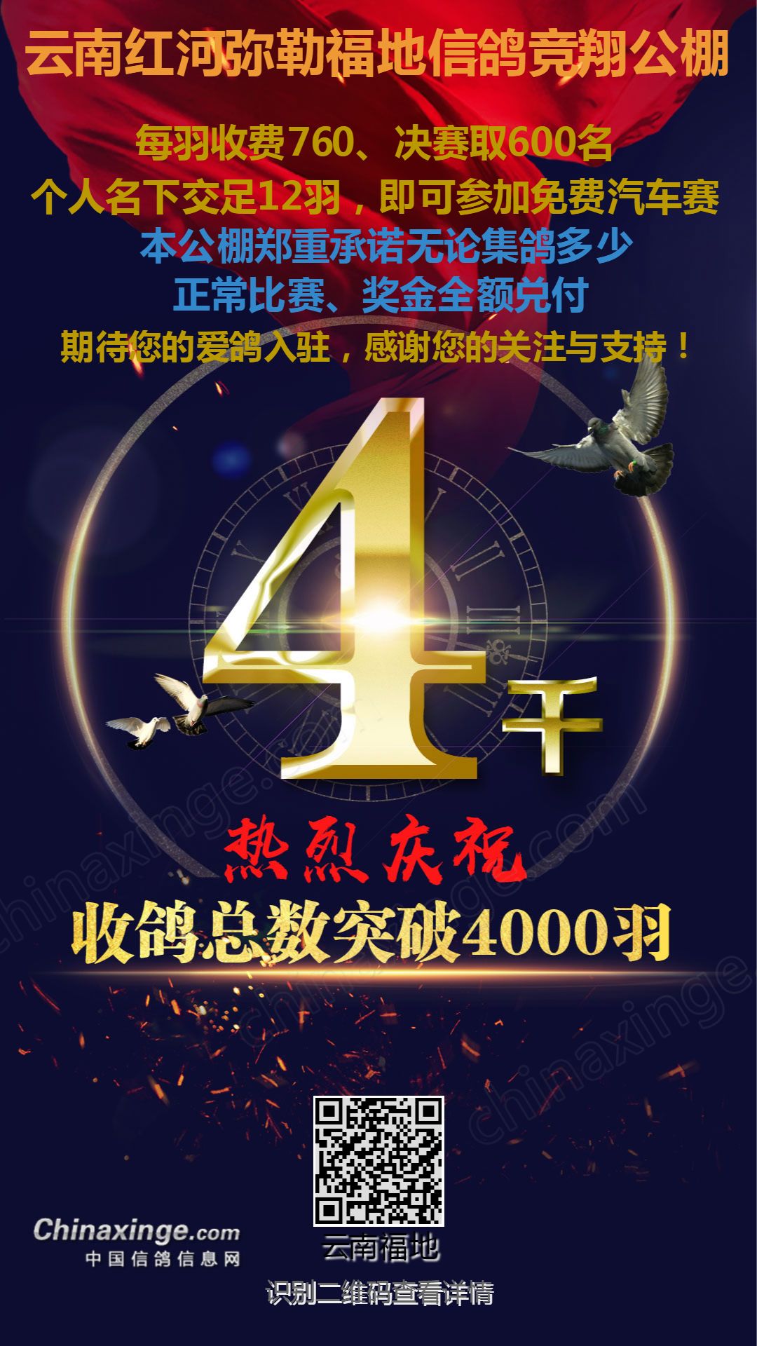 云南和平公棚最新公告解讀與觀點闡述