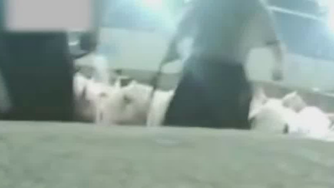 最新活春官視頻實(shí)拍，探索自然美景，尋覓內(nèi)心寧?kù)o之旅