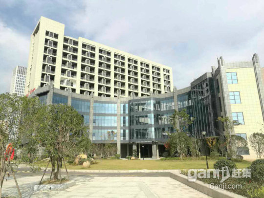 嘉善鉑金廣場(chǎng)最新動(dòng)態(tài)更新，最新消息匯總