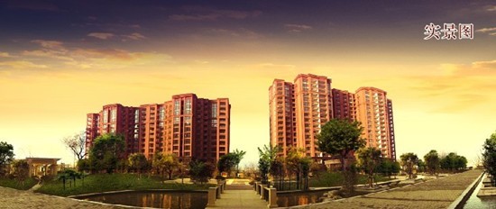 新鄉濱河灣最新動態揭秘,最新發展動向與消息速遞