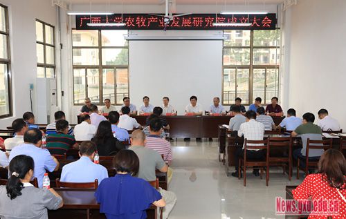 廣西崇左市最新任免動態，深度解析與觀點闡述