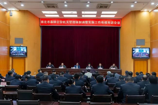 廣西崇左市最新任免動態,深度解析與觀點闡述