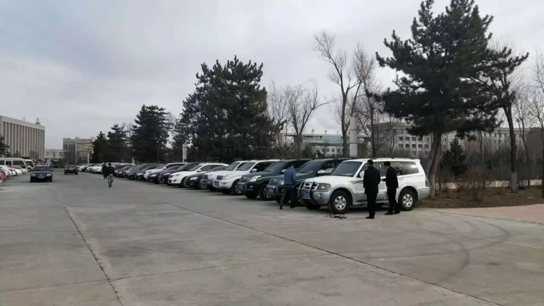 泰安公車拍賣最新動態,背后的溫馨故事揭秘