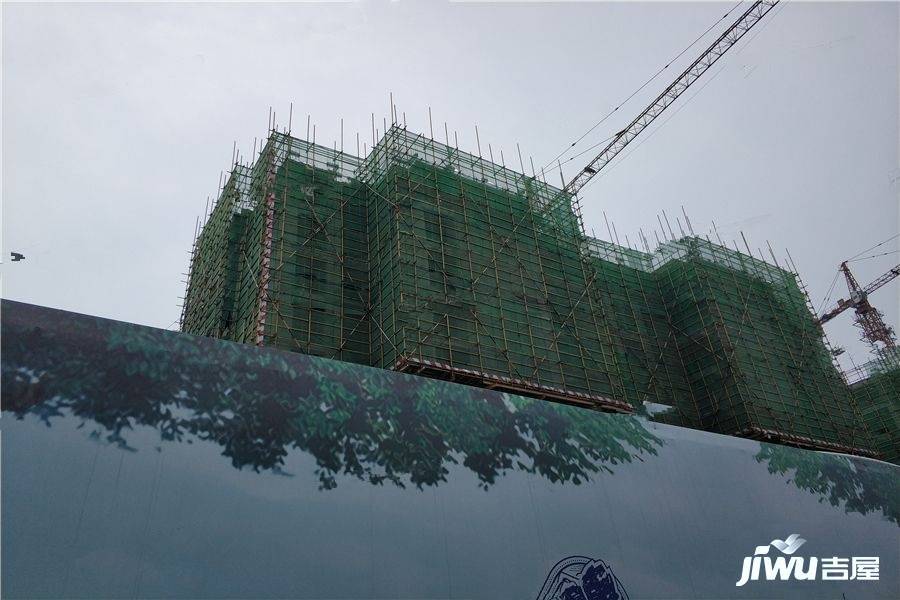 鄭州梧桐花語科技之花盛開中原的最新動態