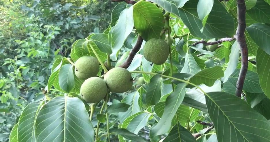 章丘違建拆除最新動態更新,最新消息匯總