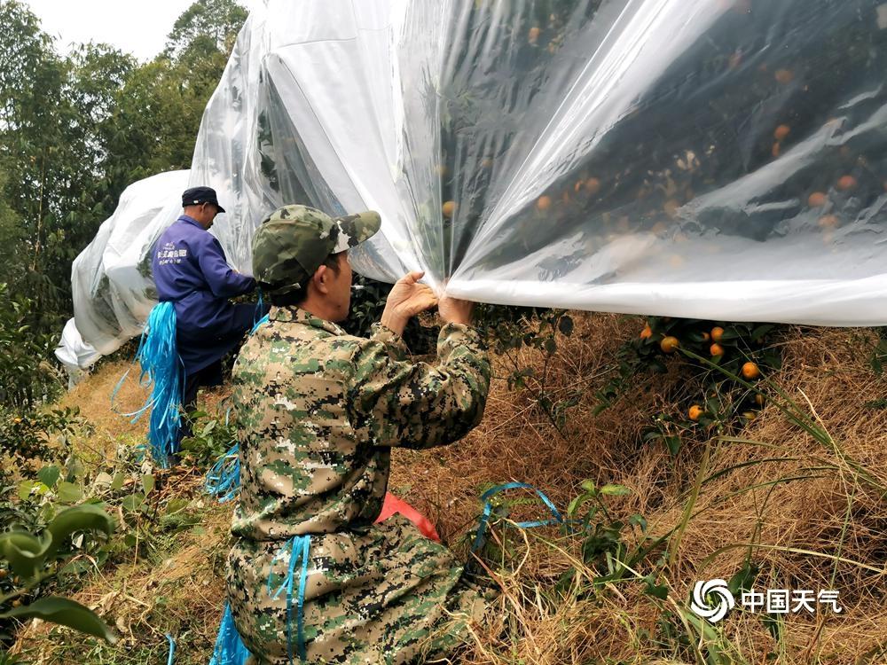 荔浦最新信息概覽,全方位了解荔浦動態